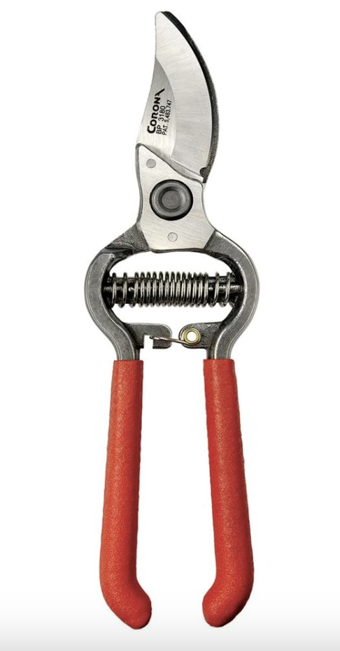 Pruning Sheers for Plants