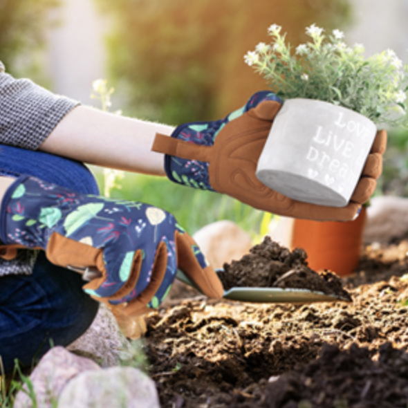womans hands in leather palmed gardening gloves holding a potted plant